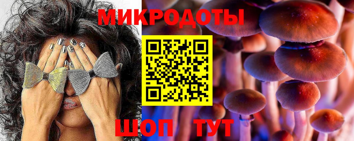 Галлюциногенные грибы Cubensis  Вход с VPN  Семёнов 