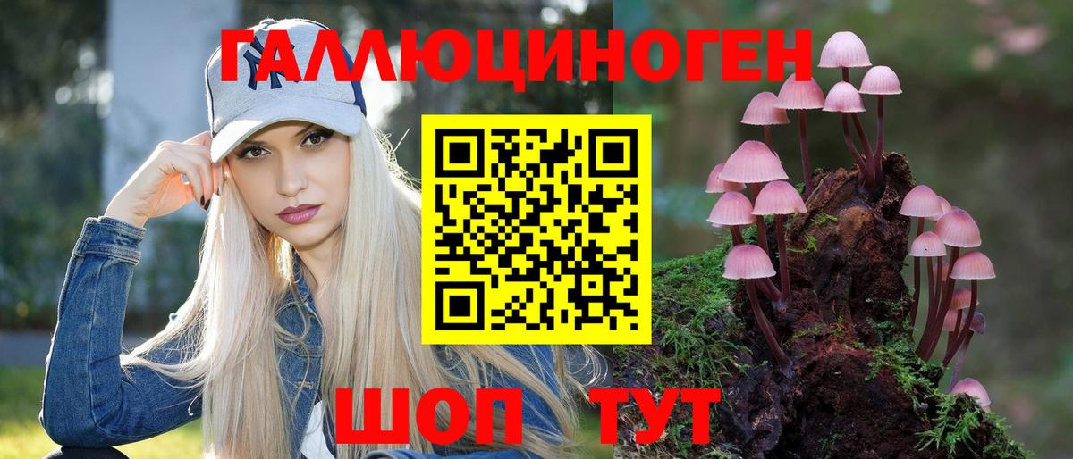 Псилоцибиновые грибы Psilocybe Семёнов